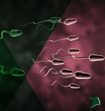 What are Medical Causes of male infertility